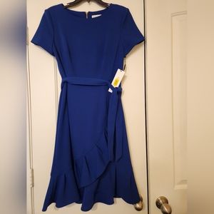 Calvin Klein Ruffle Mini A line Dress ( Size 8)
